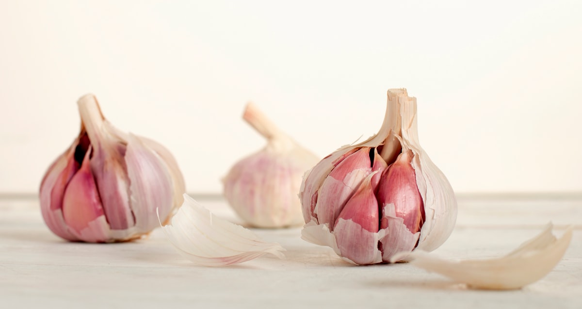 Piatti nutrienti a base di aglio - Healthygarlicmeals